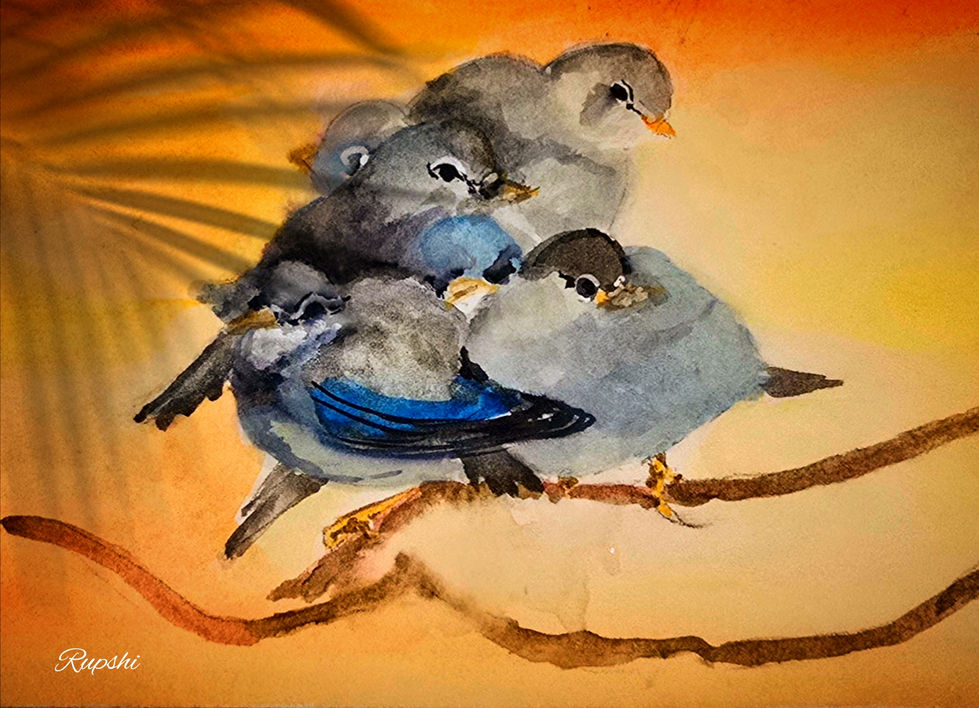 Polish_20241009_011817740