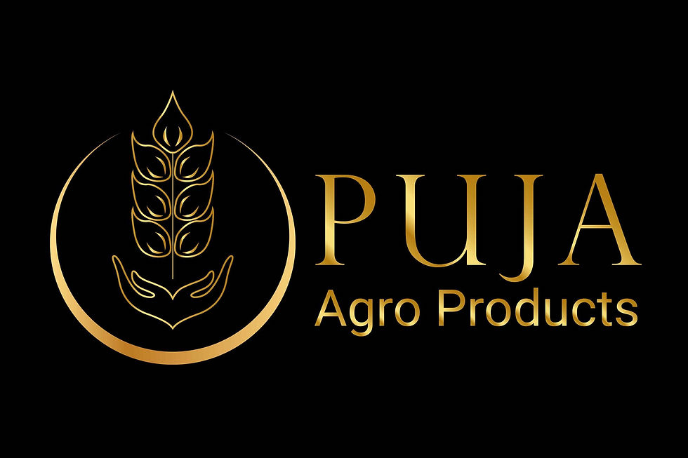 Logo Golden in Black small jpg.jpg