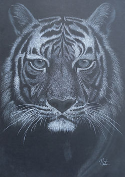 Dessin contemporain représentant un tigre en blanc sur fond noir, symbole de puissance équilibrée et de présence protectrice
