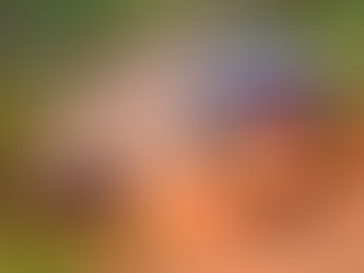 Paraguay tiene calendario