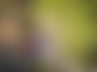 Rally de Croacia: Ogier y Toyota dan en el blanco