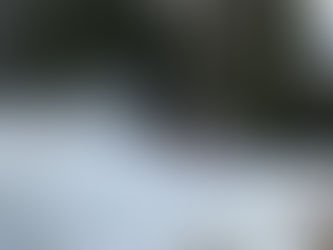 El Rally de Suecia 2021 busca su norte