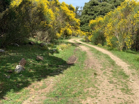 La hoja de ruta de la doble fecha en Balcarce