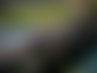 Previa Ypres Rally de Bélgica: Un nuevo escenario; ¿el mismo guion?