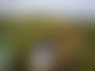 El inicio de la temporada 2021 del ERC aplazado a mayo