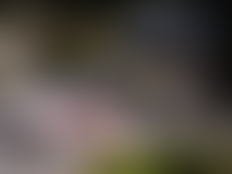 WRC: El Rally de Japón, otra vez en la cuerda floja