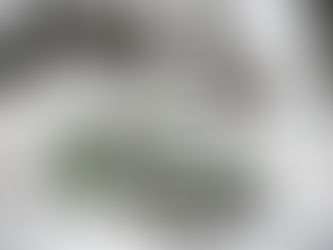 Los locales se lucen