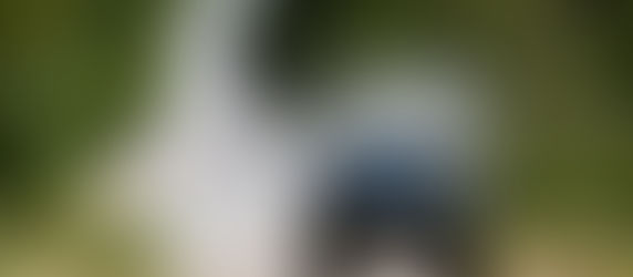 Todo listo para el YPF Rally Argentina en Mina Clavero