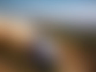 WRC confirmó los cambios en su calendario