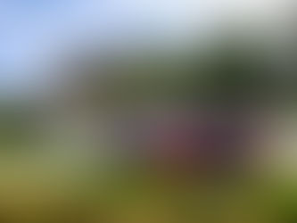 Ypres Rally: Neuville y Hyundai, a paso firme en Bélgica