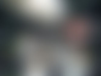 Solberg llega a Hyundai