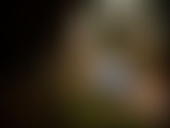 Sorpresas en el inicio en Monza