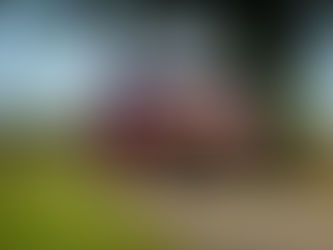 Y Neuville fue profeta en su tierra