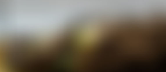 Previa Rally Argentino: ¡A jugar con tierra!