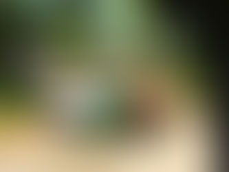 125 protagonistas se preparan para Balcarce