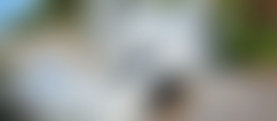 Los caminos del Rally de Entre Ríos 2022