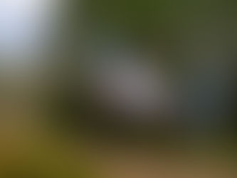 El Rally de Finlandia 2021, con más dudas que certezas