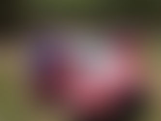 Scuncio, en otro nivel