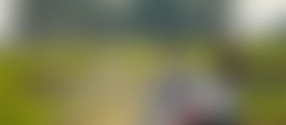 Ypres Rally: Evans marca el ritmo en el arranque