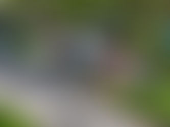 Rally de Croacia: Evans, el destacado en el shakedown