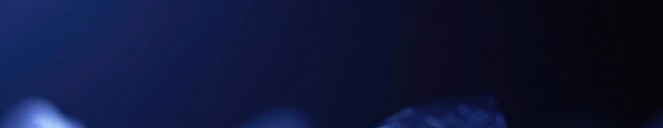 pitchbook first page backdrop cropped.png