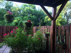 Sanctuary In The Suburbs