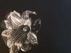 Here is an example of my work In progress