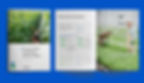Studio-GTR_Site-images_Project-Cover_SC-Print.jpg