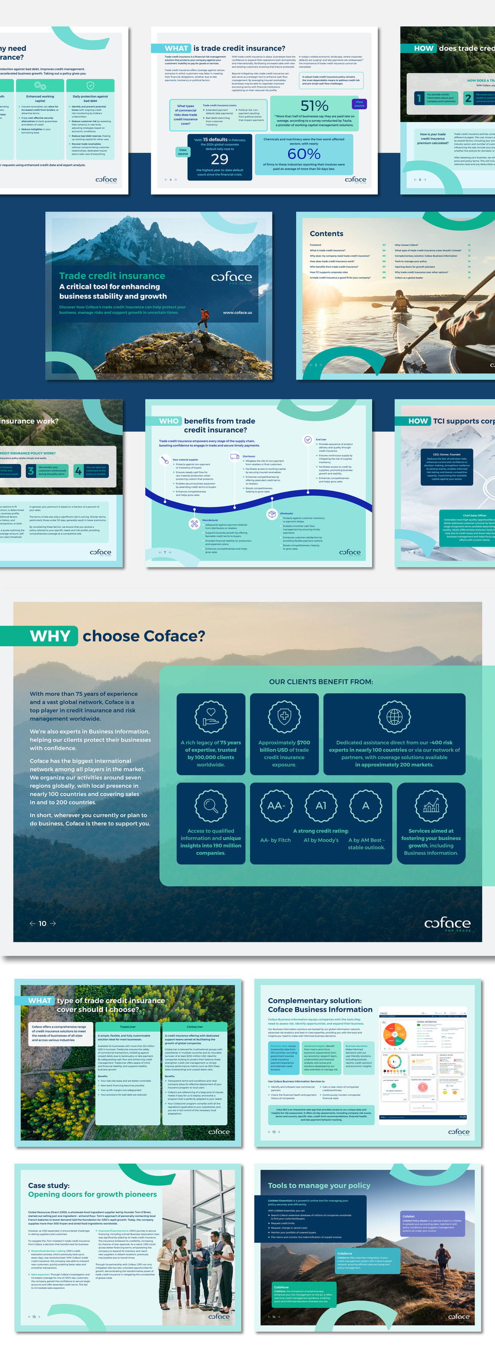 Coface_Slides_1920x1080_2.jpg