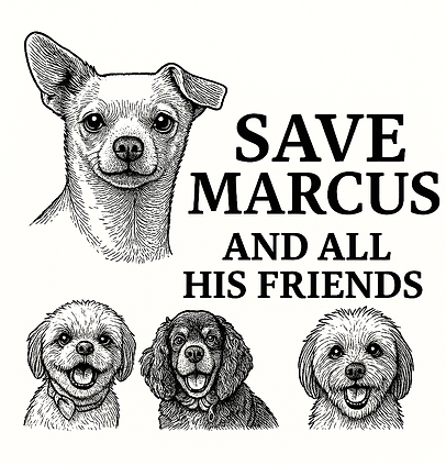 ChatGPT Image Oct 20, 2025, 09_56_31 AM.png