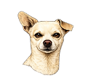 ChatGPT Image May 31, 2026, 03_06_43 PM.png