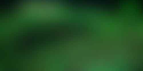 One Inch From Bedlam In The Bend: Looking Ahead To Top 20 Showdown In Durham, NC.