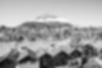 Vue monochrome: montagnes, bateaux, maisons de Suisse