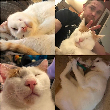Image of Nacho Cheese