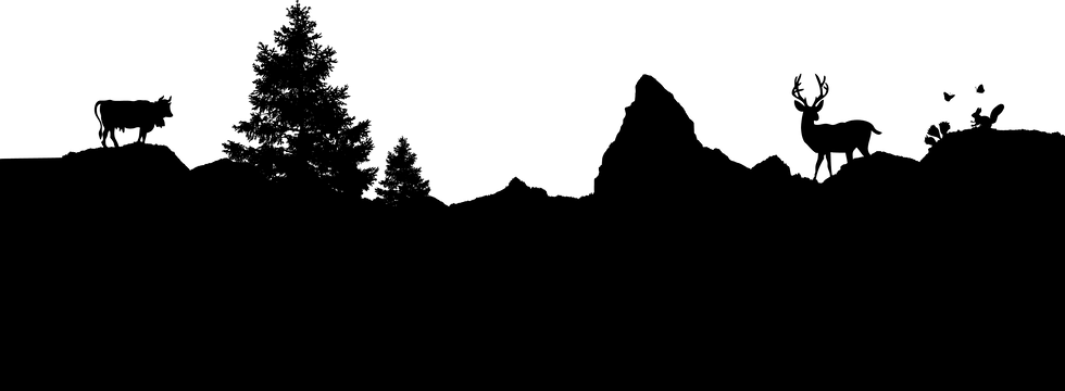 Decoupe_15_0002_Calque-1.png