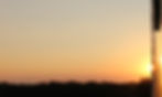 IMG_2838_edited.jpg