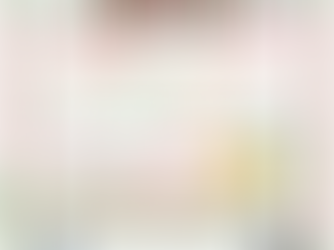 Park Ridge Christmas Stroll