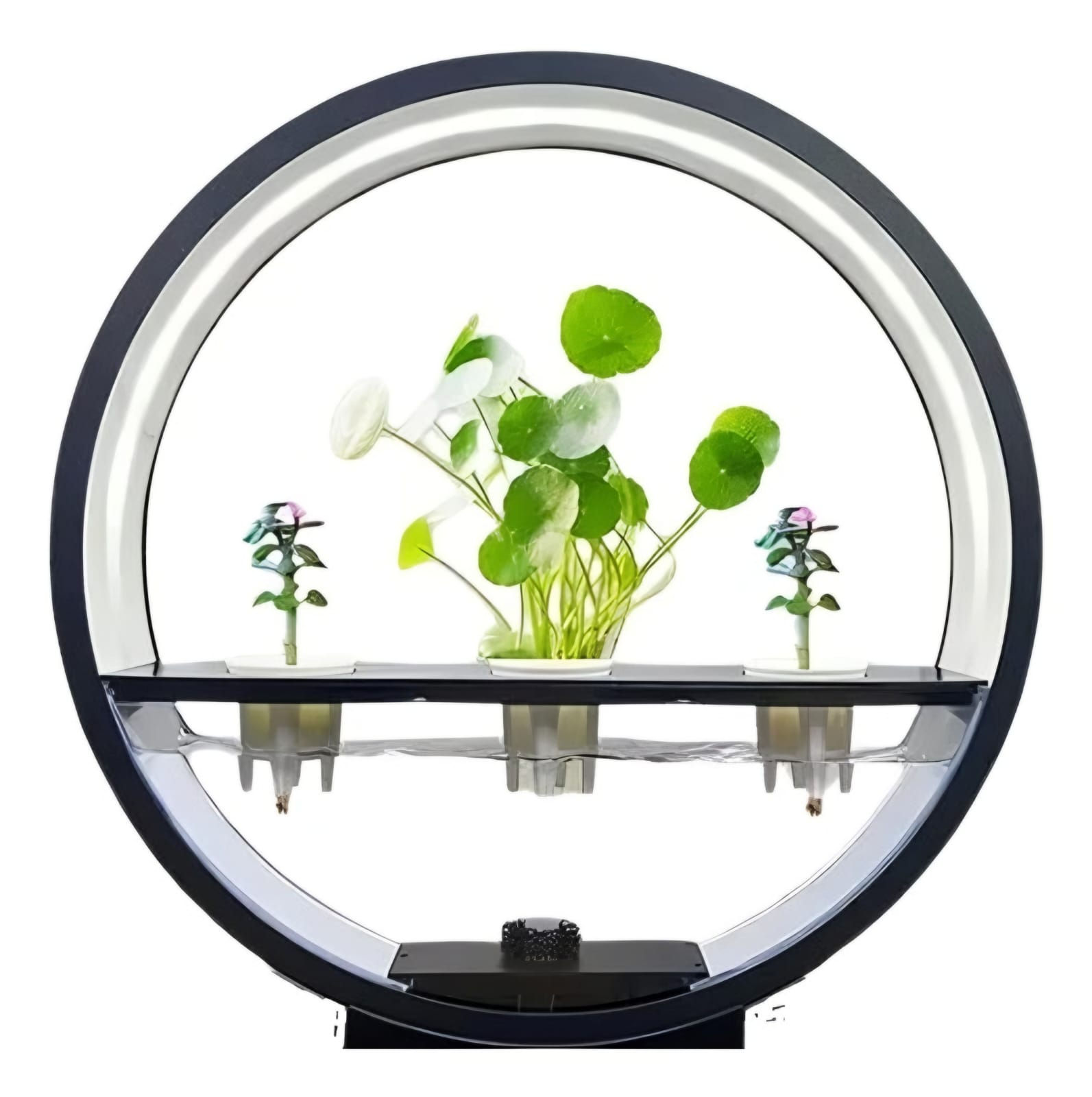 Luminária De Mesa Com Suporte P/ Plantas LED