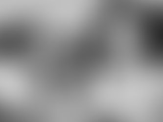 Part II — Before the Degree: Why Employability Begins Long Before University