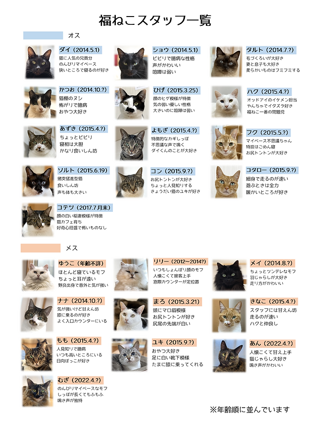 スタッフ紹介1.png