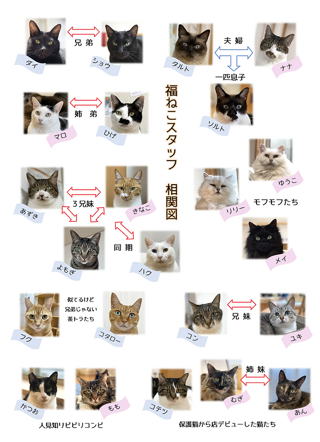 スタッフ紹介2.png