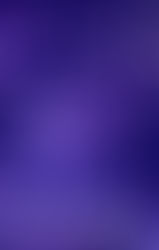 Dreamgirls at Signature Theatre Strikes a Chord