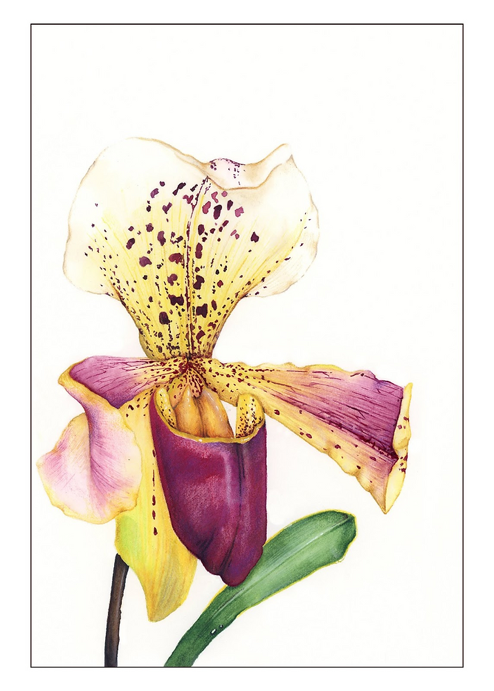 Karl Ryden ArLiJo Issue 137