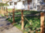 Layout 1