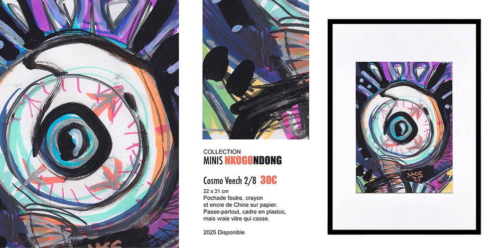 COSMO VEECH PLANCHE 2 copie.jpg