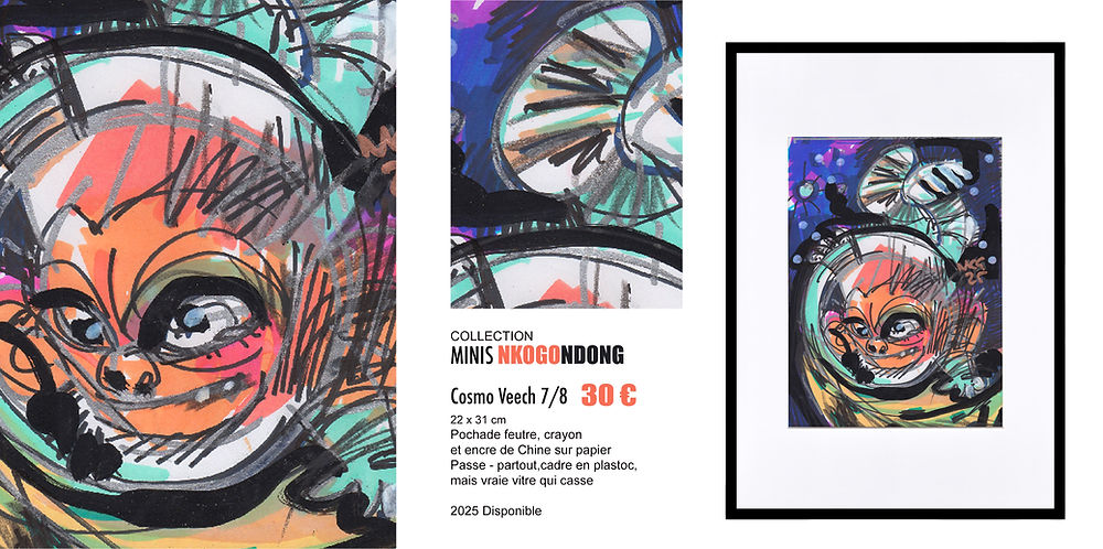 COSMO VEECH PLANCHE 7 copie.jpg