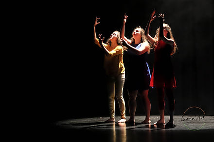 Compagnie de danse professionnelle 