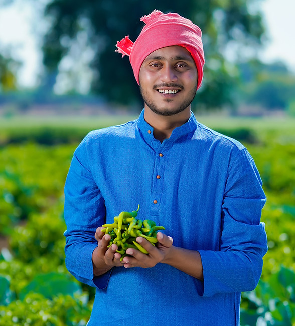 young-indian-farmer-holding-green-chilly-hand-agriculture-field.jpg