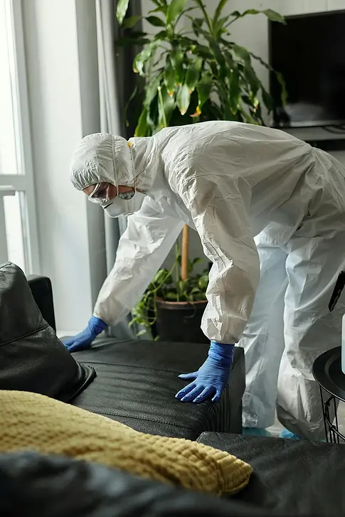 SOFA CLEANING BACKGROUND.webp