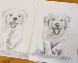 Pencil Sketch